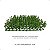 Placa Verde Buchinho Artificial Premium Luxo Jardim 25x25 - Imagem 5
