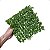Placa Verde Buchinho Artificial Premium Luxo Jardim 25x25 - Imagem 3