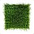 Placa Verde Grama Acorus Artificial Premium Jardim 25x25 - Imagem 1