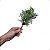 Buquê de Flores Silvestres Pequeno Artificial Premium KIT - Imagem 4