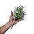 Buquê de Flores Silvestres Pequeno Artificial Premium KIT - Imagem 5