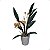 Orquídea Oncidio Oncidium Folhas Artificial Premium Pequena - Imagem 4