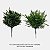 Buquês de Folhas Verdes Folhagem Artificial Premium KIT - Imagem 7