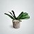 Folha de Orquídea Phalaenopsis Com Raíz Premium Luxo - Imagem 2