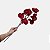 Orquidea Phalaenopsis Vermelha Artificial Premium Glitter - Imagem 3