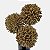 Flor de Allium Pompom Dourado Artificial  Premium Glitter - Imagem 5