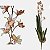 Orquídea Oncidio Oncidium Folhas Artificial Premium Grande - Imagem 1