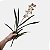Orquídea Oncidio Oncidium Folhas Artificial Premium Grande - Imagem 3
