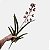 Orquídea Oncidio Oncidium Folhas Artificial Premium Grande - Imagem 9