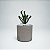 Suculenta Planta Carnívora Exótica Artificial Pick Terrário - Imagem 2