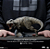 Estátua T-Rex - Jurassic World - Icons - Iron Studios - Imagem 7