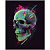 QUADRO DE METAL G - SPLASH ART CAVEIRA COLORS - Imagem 1