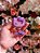 Porta Crachá Hello Kitty Roxo - Imagem 1