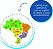 Quebra -Cabeça 3D Mapa Do Brasil C/ Capitais - Elka - Imagem 3