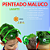 Cabelos Malucos Tematicos! Escolha entre arco-iris, lagarto, aranha, insetos, polvo, flores entre outros. Aproveite! - Imagem 2