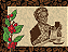 Brazilian Coffee - Imagem 3