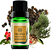 Terra Flor Sinergia do Movimento com Óleos Essenciais 10ml - Imagem 1