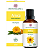 Phytoterápica Óleo de Arnica 50ml - Imagem 1