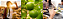 Puravida PuraJuice Protein Limão Tahiti e Yuzu - Suplemento Alimentar de Proteína em Pó - Imagem 4