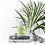 Use Orgânico Desodorante Lemongrass e Sálvia Roll-on 55ml - Imagem 4