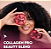 Puravida Collagen Pro Beauty Blend - Suplemento em Pó Sabor Romã, Hibisco e Cranberry 540g - Imagem 6