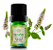 Terra Flor Óleo Essencial de Hortelã Verde 5ml - Imagem 1