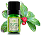 Terra Flor Óleo Essencial de Wintergreen 5ml - Imagem 1