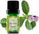Terra Flor Óleo Essencial de Verbena Índia 5ml - Imagem 1