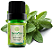 Terra Flor Óleo Essencial de Orégano 5ml - Imagem 1