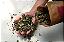 Iamaní Folhas de Framboesa Orgânica Para Infusão 30g - Imagem 2