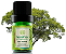 Terra Flor Óleo Essencial de Ho Wood 5ml - Imagem 1
