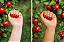 Twoone Onetwo Esmalte Hipoalergênico 1623 Apple Garden 10ml - Imagem 3