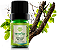 Terra Flor Óleo Essencial de Sândalo Amyris 5ml - Imagem 1