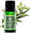 Terra Flor Óleo Essencial de Eucalipto Radiata 10ml - Imagem 1
