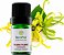 Terra Flor Óleo Essencial de Ylang Ylang Completo 5ml - Imagem 1