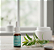 Jornada Óleo Essencial de Melaleuca / Tea Tree 10ml - Imagem 2