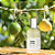 Parfum Lab Perfume Unissex Brise D’Été - Eau de Parfum 50ml - Imagem 4