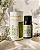 Aromalife Óleo Essencial de Alecrim QT Cineol 10ml - Imagem 2