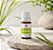 Phytoterápica Óleo Essencial de Lemongrass / Capim Limão 10ml - Imagem 2