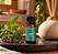 Legee Óleo Essencial de Alfavaca Cravo Orgânico 10ml - Imagem 2