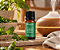 Legee Óleo Essencial de Hortelã Pimenta 10ml - Imagem 2