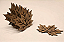 Kit 10 Porta Copos MDF Cru Laser - Vários Modelos e Tamanhos - Imagem 3