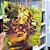 Lp Vinil Calango Skank 180g Lacrado Polysom - Imagem 2
