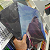 Kit Vinil Ceu Tropix + Caravana Sereia Bloom Original Lacrad - Imagem 3