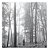 Cd Taylor Swift Folklore 1 The In The Trees - Lacrado - Imagem 1
