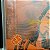 Disco de Vinil Lp TULIPA RUIZ - EFEMERA Original Lacrado - Imagem 5