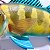 Peixe Tucunaré Azul em Resina Escultura para Decoração - Imagem 3