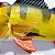 Peixe Tucunaré Amarelo em Resina Escultura para Decoração - Imagem 4