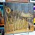 Disco de Vinil Lp Neutral Milk Hotel In the Aeroplane Over the Sea Importado - Imagem 4