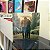 Vinil Lp The Freewheelin' Bob Dylan Importado  Novo Lacrado - Imagem 8